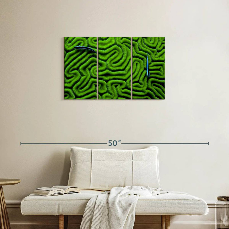 Corail vert Brampt, H 20 po x l 33 po