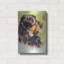 «Gordon Setter» par Barbara Keith-887910868