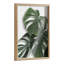 «Monstera feuilles» par Amy Peterson, art mural en verre encadré