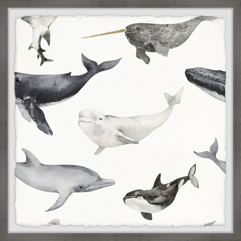 Dolphins And Whales - Single Picture Frame Print, 81cm H x 81cm W x 3.81cm D