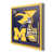 NCAA Michigan Wolverines