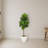Fiddle Leaf Artificial Tree in White Planter