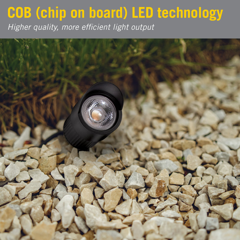 White LED Landscape Light with Spike