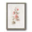«Blush Sweetly I», reproduction d'art sur papier encadrée-785962478-785962473