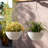 Bee Honeycomb Plastic Hanging Planter-62253644-93631318