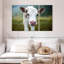 Petite vache Brampt-108032749