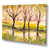 Toile tendue