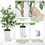 Ficus benjamin artificiel 4 pi Evergreen-1483755943