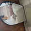 Photos des clients 1 de 1