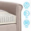 Ensemble moelleux pour le salon Winston Porter, causeuse modulaire rembourrée 2 pièces et canapé 3 places, ensembles de meubles de salon-328156826