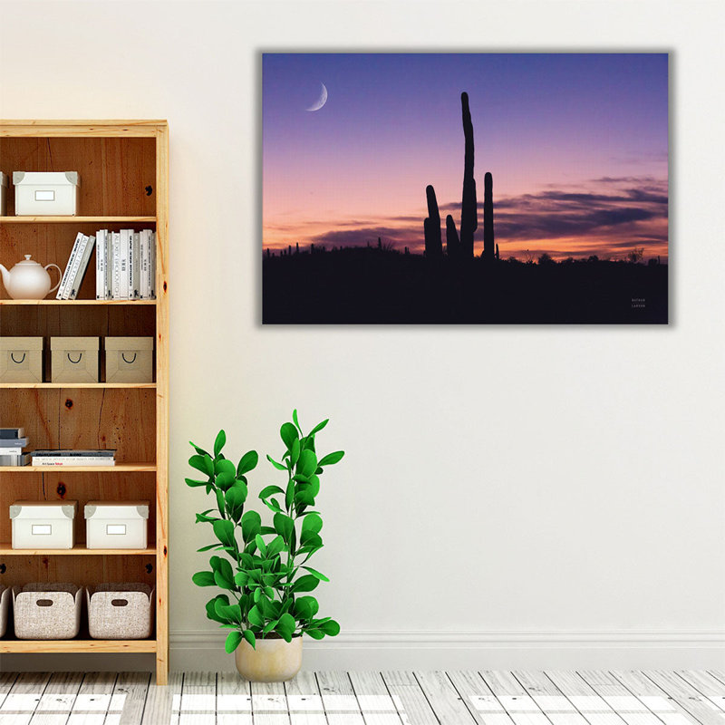 Desert Moons - reproduction d'art sur toile, H 20 po x l 30 po