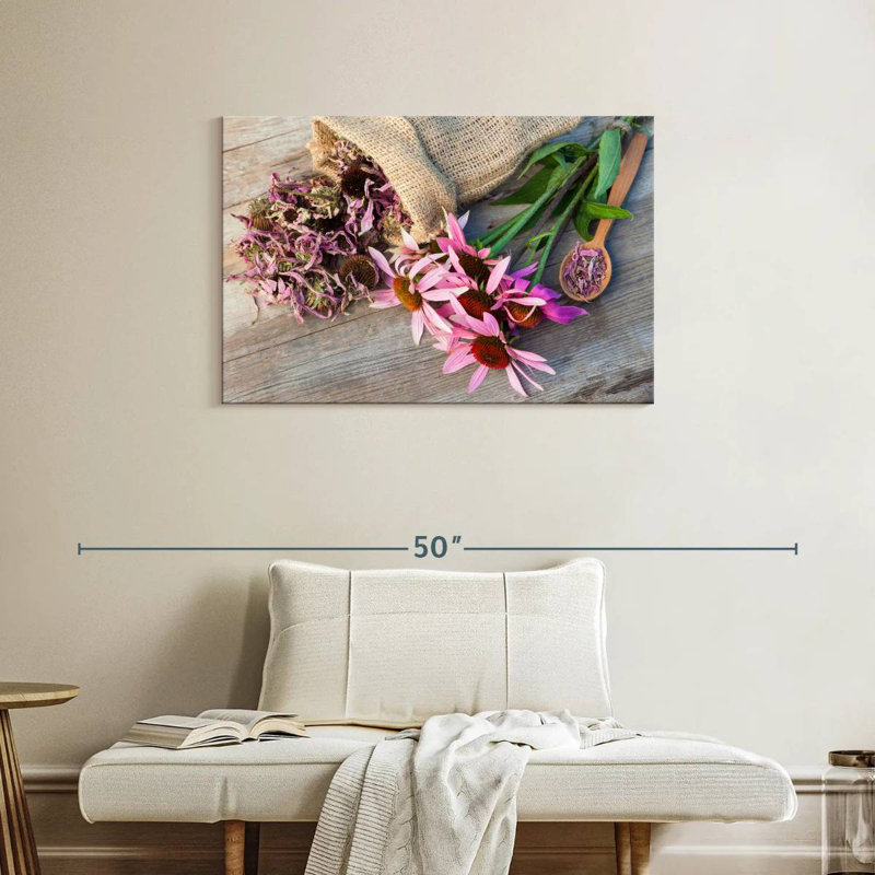 Harnek Coneflowers And Dried Echinacea, 24" H x 36" W