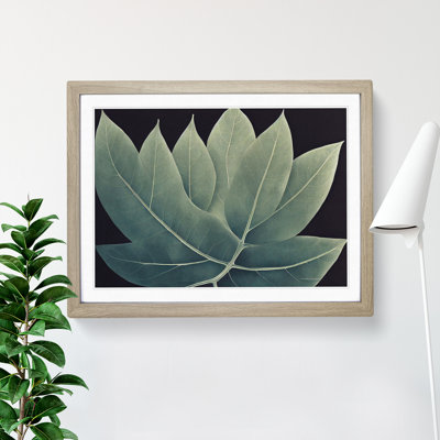 Adventurous Leaf - Single Picture Frame Painting