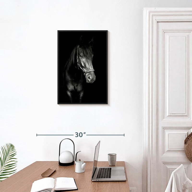 Cheval noir dans le noir, Cadre flottant noir, 17 po x 25 po