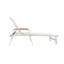 Ensemble de 2 chaises longues-337509797