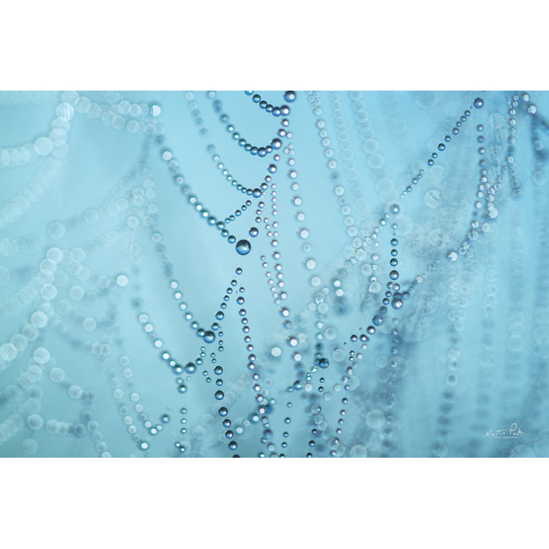 Nature's Jewels I, H 24 po x l 36 po, Non, Toile avec cadre flottant or