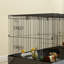 Guinea Pig Cage