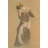 The Bather IMA-20589