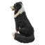 Statue Border Collie assis