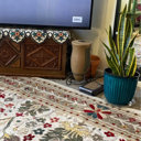 Lark Manor Dimmitt Floral Indoor Rug & Reviews | Wayfair