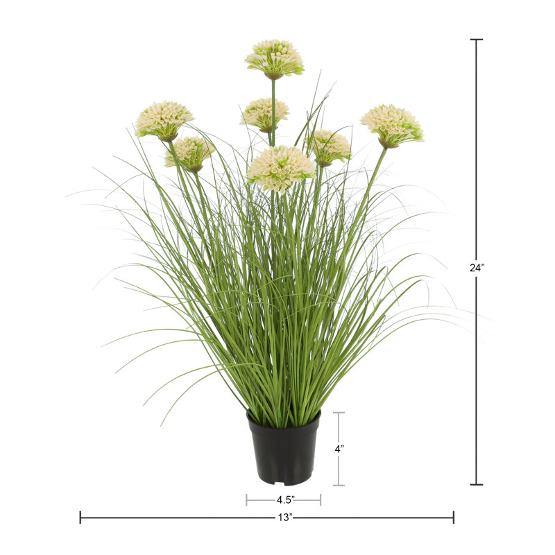 Plante Dahlia