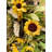 Faux Sunflower Polyester 24'' Wreath