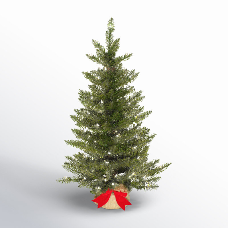 3' Lighted Fir Christmas Tree
