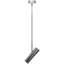 1 - Light Satin Pendant