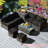 Aleshka 6 - Person Patio Conversation Set with Cushions-900417820-874766492