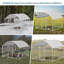 Elliya 57.26 Square Feet Chicken Coop For Up To 8 Chickens
