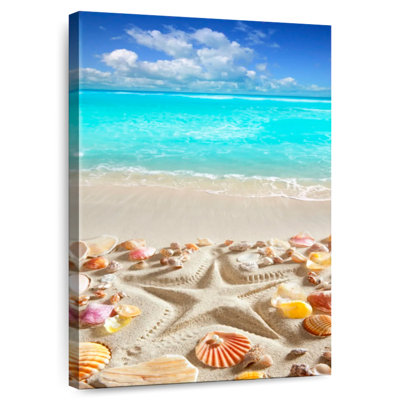 Gillard, paradis tropical, coquillages