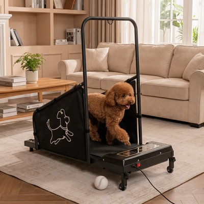 Indoor Dog Treadmill For Small & Medium Dogs With Remote Control & LED Display – Quiet Motorized Pet Exerciser With Side Safety Panels