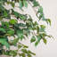 Arbre ficus artificiel en pot-48936682