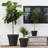 Rolled Rim Resin Indoor/Outdoor Planter Pot-105867779-105896842