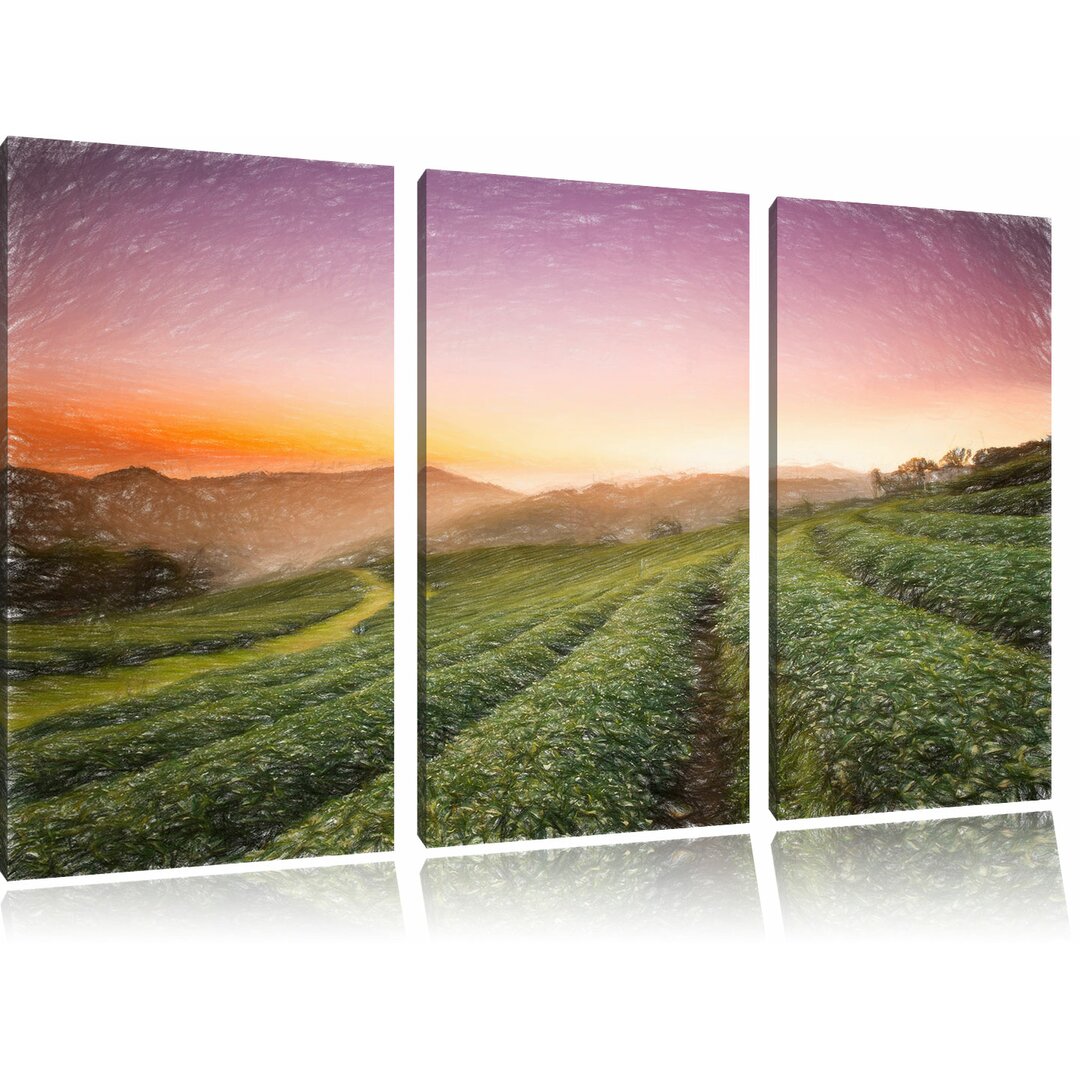 3-tlg. Leinwandbilder-Set „Sonnenaufgang Teeplantage Thailand“, Grafikdruck