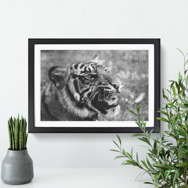 Tiger Vol.4 - Picture Frame Graphic Art, Black, 27cm H x 36cm W x 2cm D