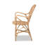 Dining Chair(Only Dining Chairs)