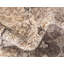 Tapis beige Kalf-31820923