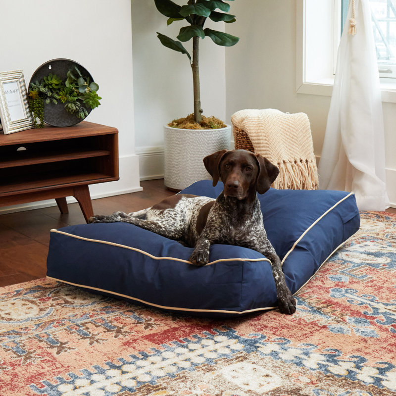 Lit pour chien intérieur / extérieur Jann, Moyen (l 42 po x P 30 po x H 6 po), Bleu marine