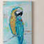 Island Parrot I, toile tendue avec châssis de qualité supérieure - prête à être accrochée-1266228015