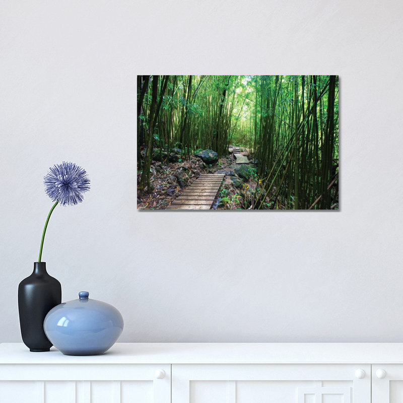 Boardwalk Through Bamboo, Pipiwai Trail, Hakeakala National Park, Kipahulu, Hana Road, Maui, Hawaii, USA IV 1 Piece Wrapped Canvas Wall Art