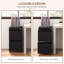 Milayna 37cm Wide 2 -Drawer Mobile Steel File Cabinet-1541583575