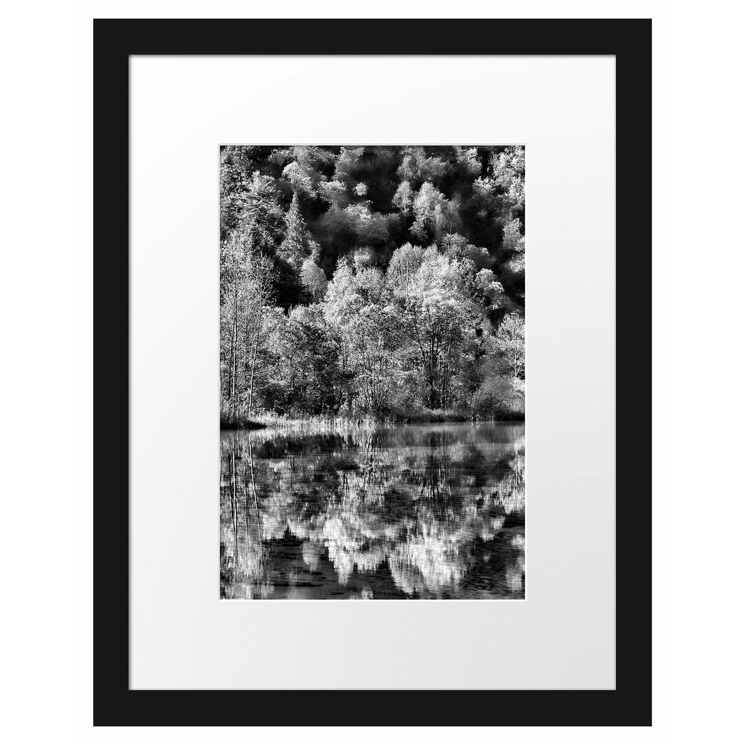 Gerahmtes Poster Herbstlicher Wald am See