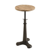 Seaton Swivel Adjustable Height Counter Stool with Metal Frame