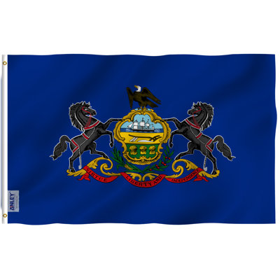 Pennsylvania State Polyester 3 x 5 ft. House Flag