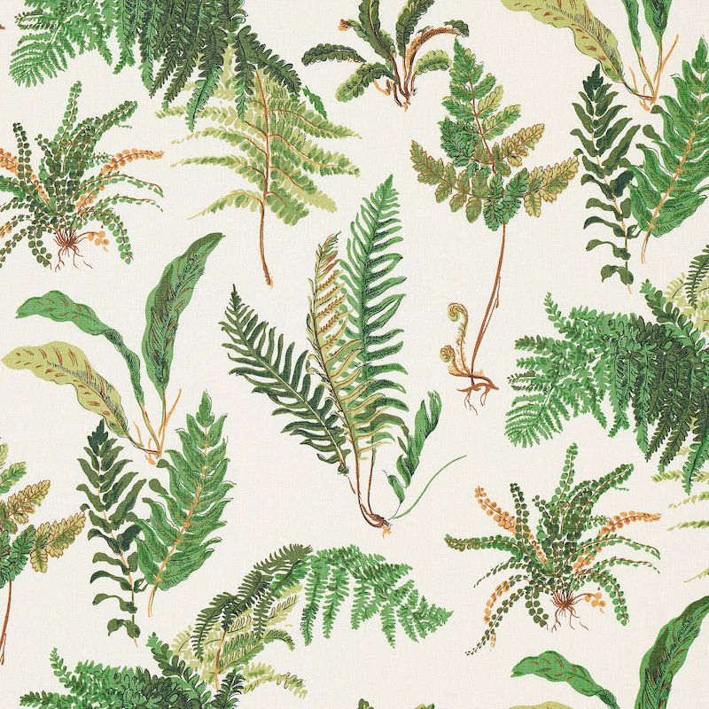 Les Fougeres Fabric, Document