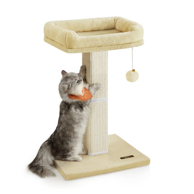 Scratching Post