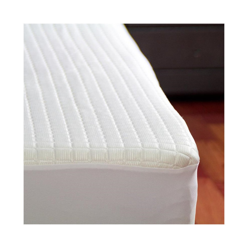 Polla 0.25'' Mattress Pad, Queen