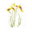 Gestural Florals IV Print by Paul Ngo-26728701-26880909
