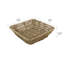 World Menagerie Box-285709707